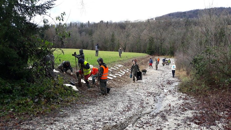 Plantation de haie Chantier de renaturation à Villaz